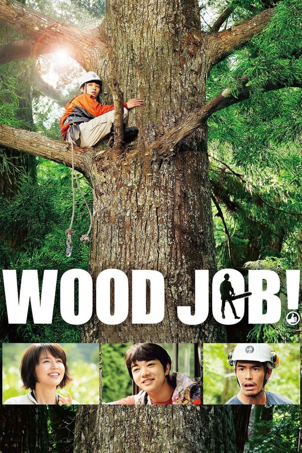 哪啊哪啊神去村ウッジョブ (2014)