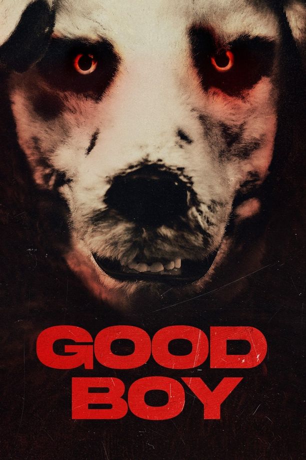 Good BoyMeg, deg & Frank (2022)