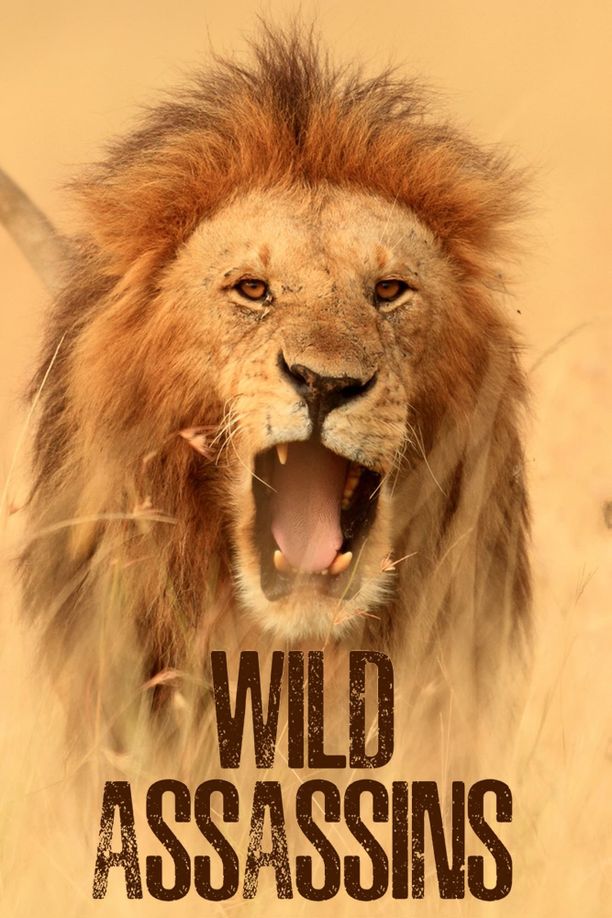 Wild Assassins (2023)