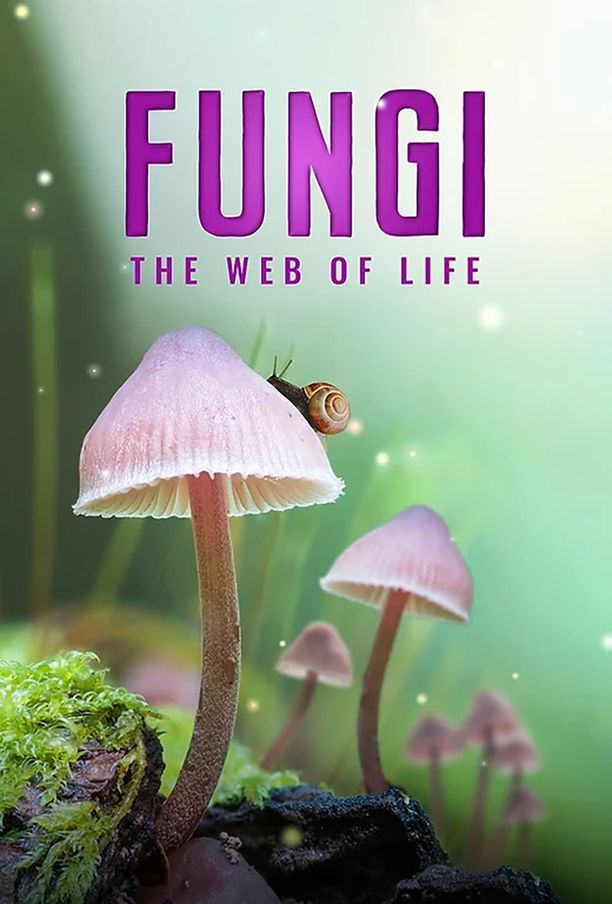 真菌的神秘王国Fungi: The Web of Life (2023)