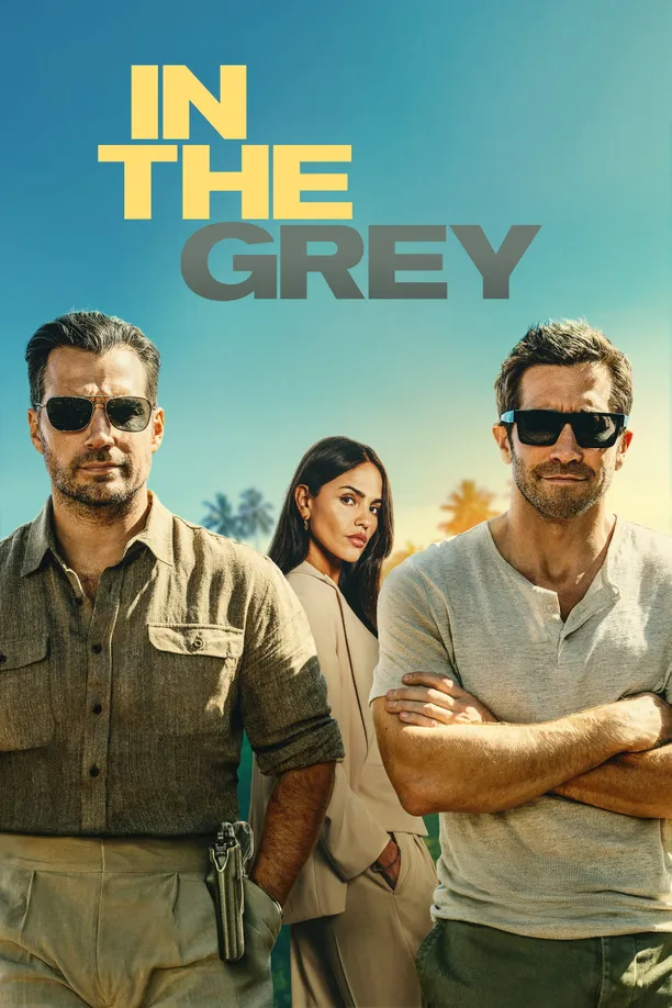 金谍行动In the Grey (2026)