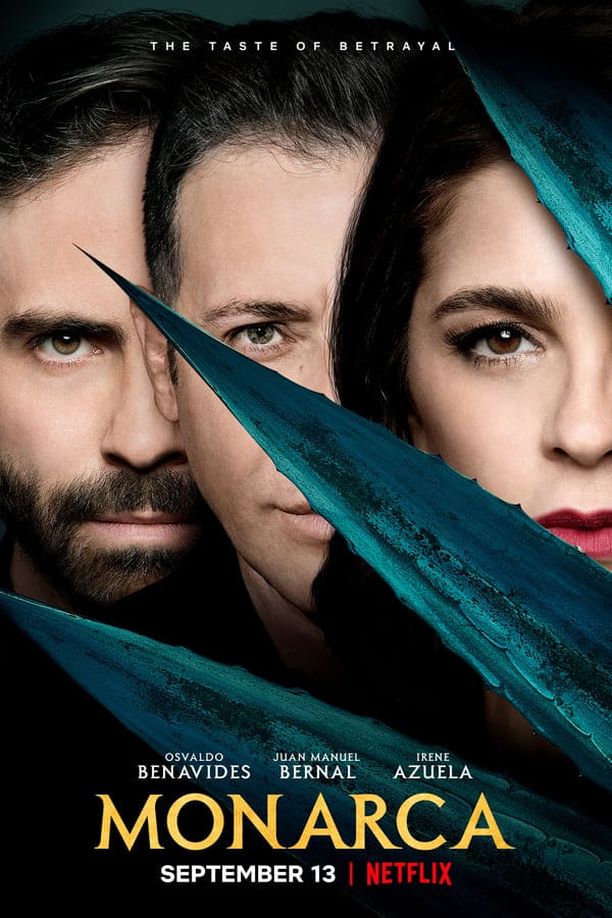 女当家    第⁨一⁩季
    Monarca (2019)