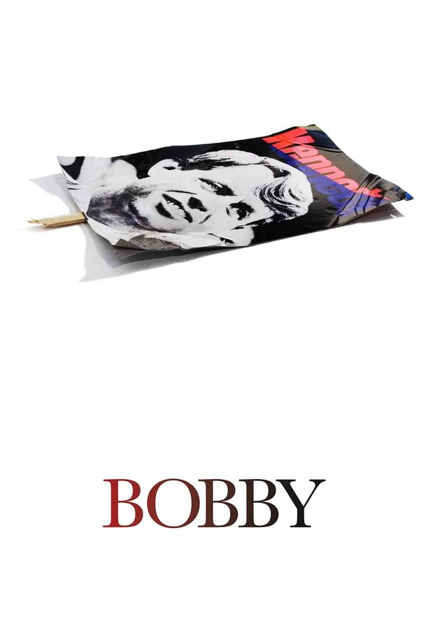 鲍比Bobby (2006)