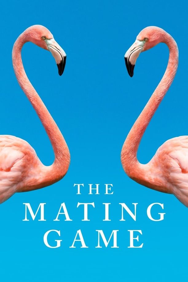 求偶游戏    第⁨一⁩季
    The Mating Game (2021)