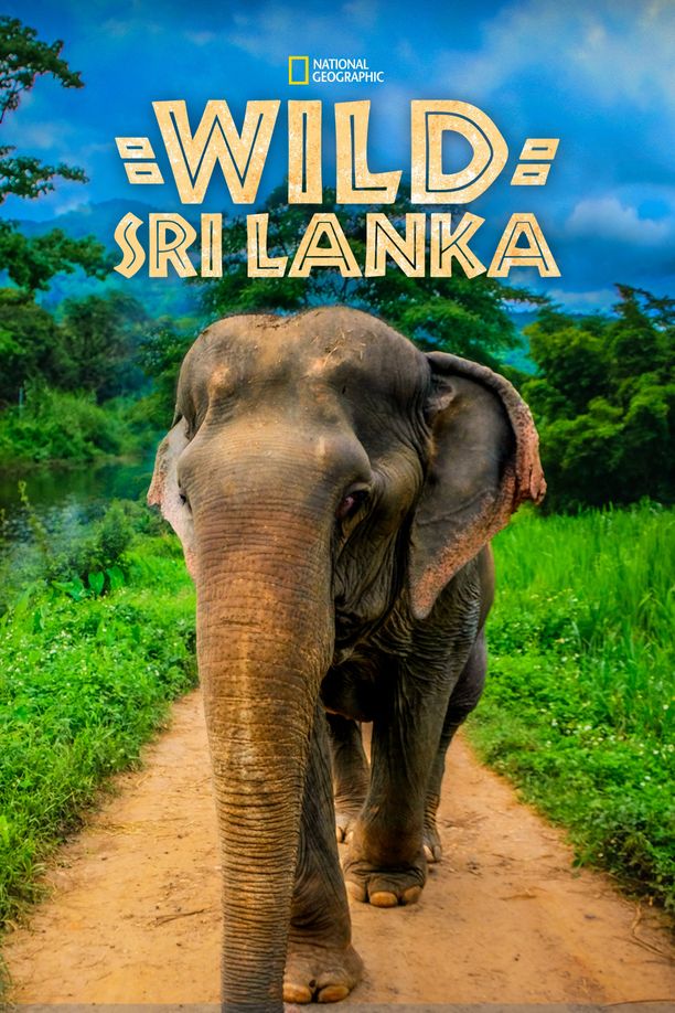 野性斯里兰卡Wild Sri Lanka (2015)
