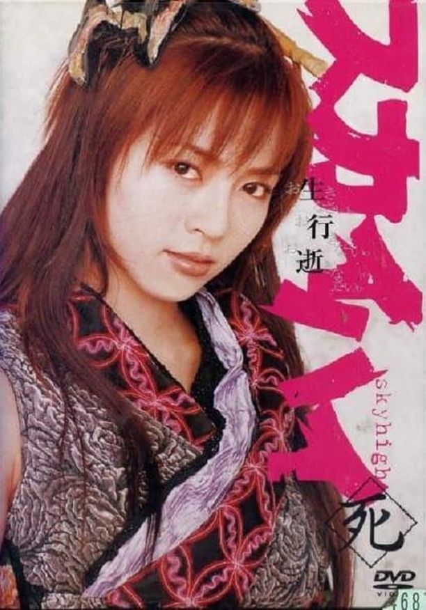 心魔大审判スカイハイ (2003)
