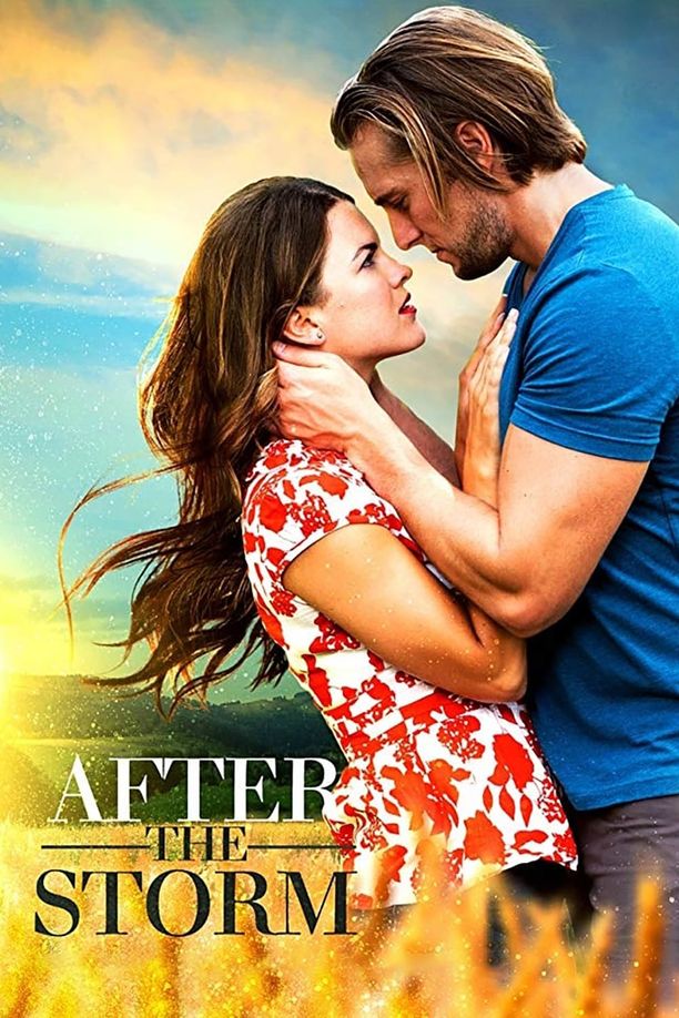 雨过天晴After the Storm (2019)