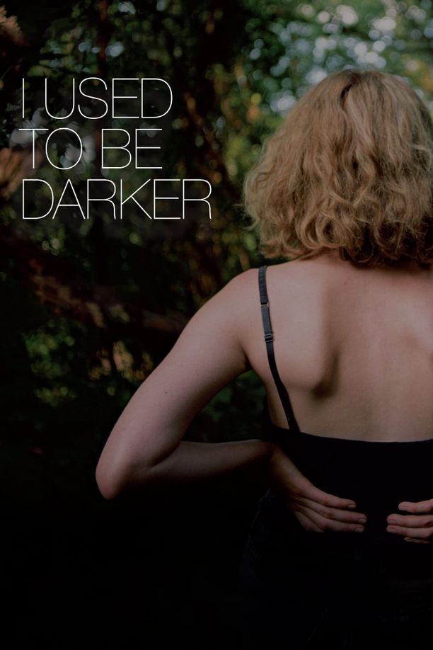 我曾更黑暗I Used to Be Darker (2013)