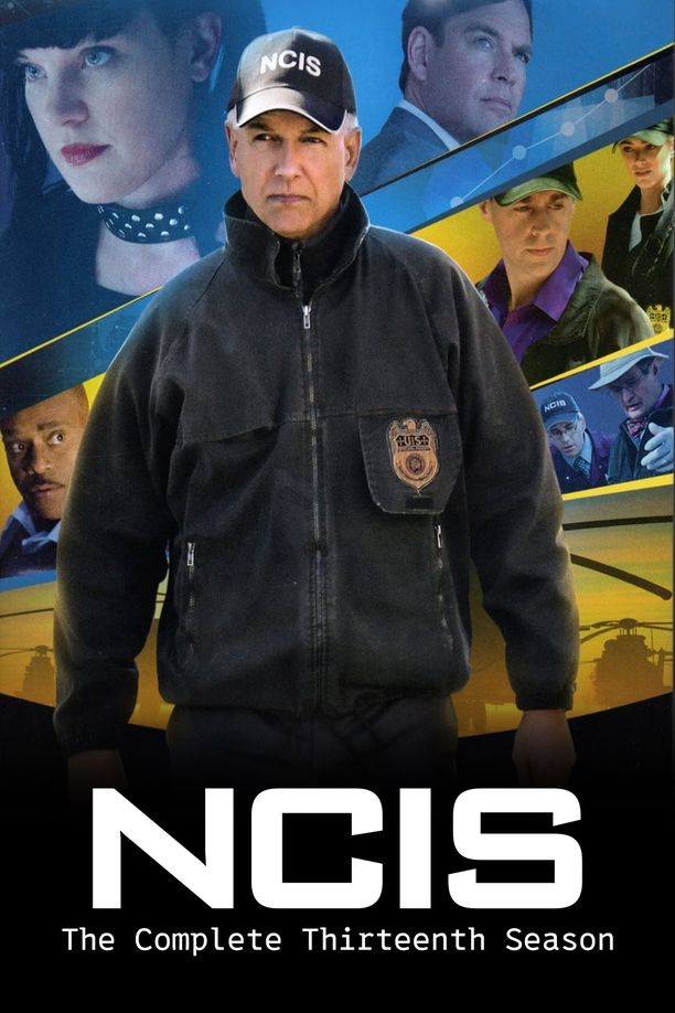 海军罪案调查处    第⁨十三⁩季
    NCIS (2015)