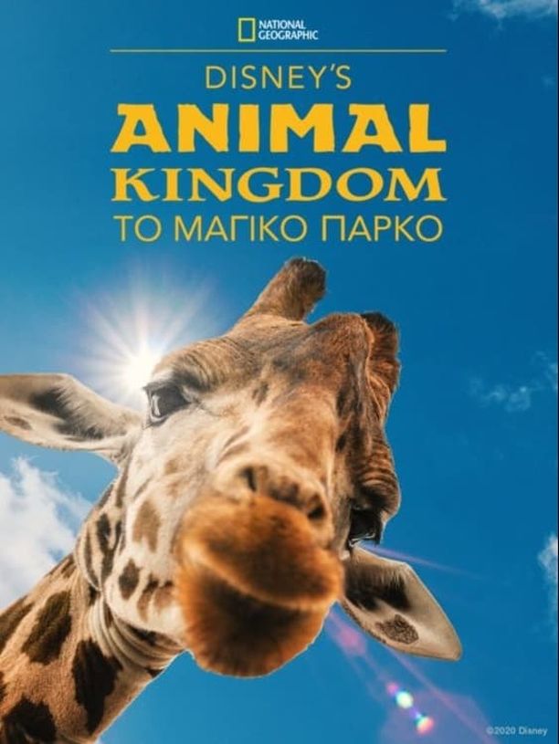 迪士尼动物王国    第⁨二⁩季
    Magic of Disney's Animal Kingdom (2023)