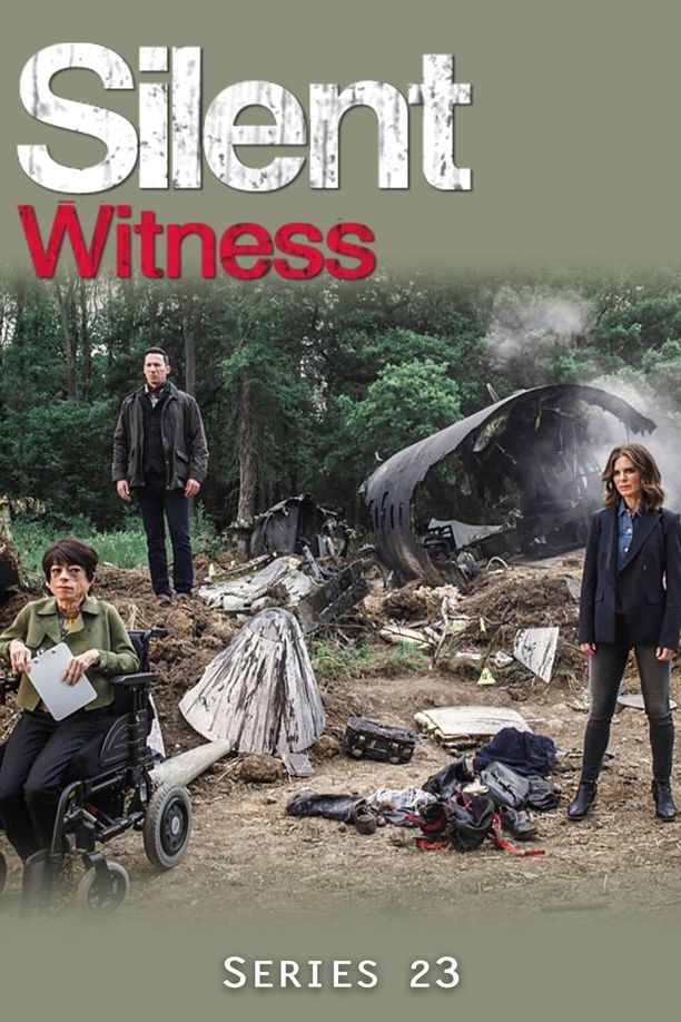 无声的证言    第⁨二十三⁩季
    Silent Witness (2020)