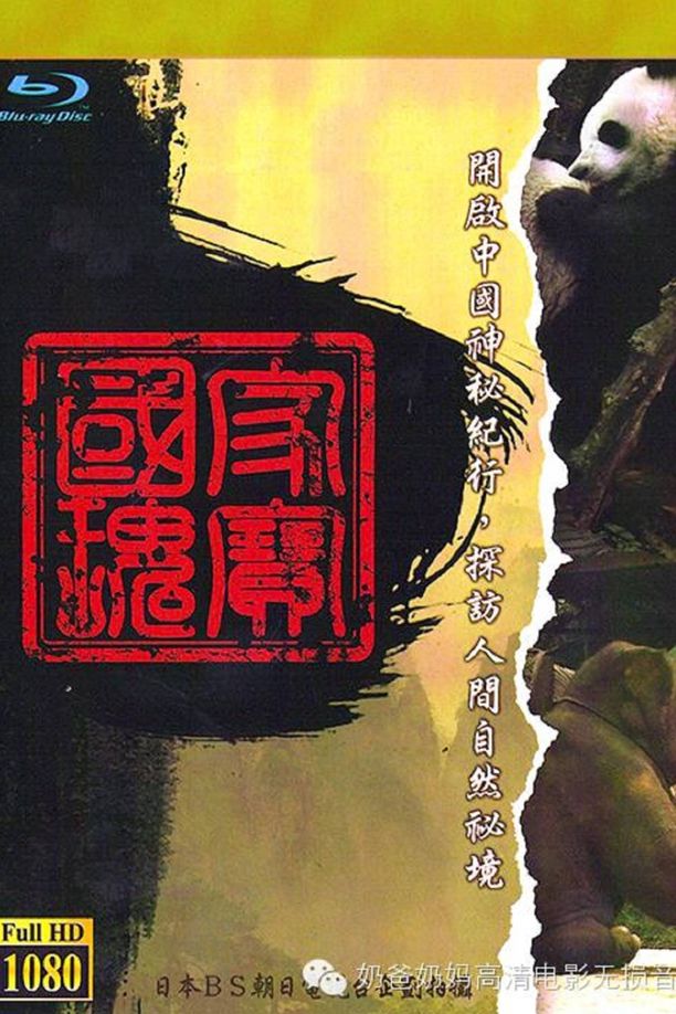 中国神秘纪行 (2008)
