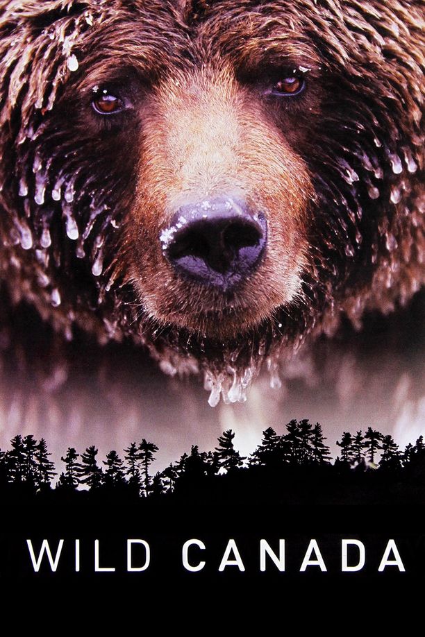 野性加拿大Wild Canada (2014)
