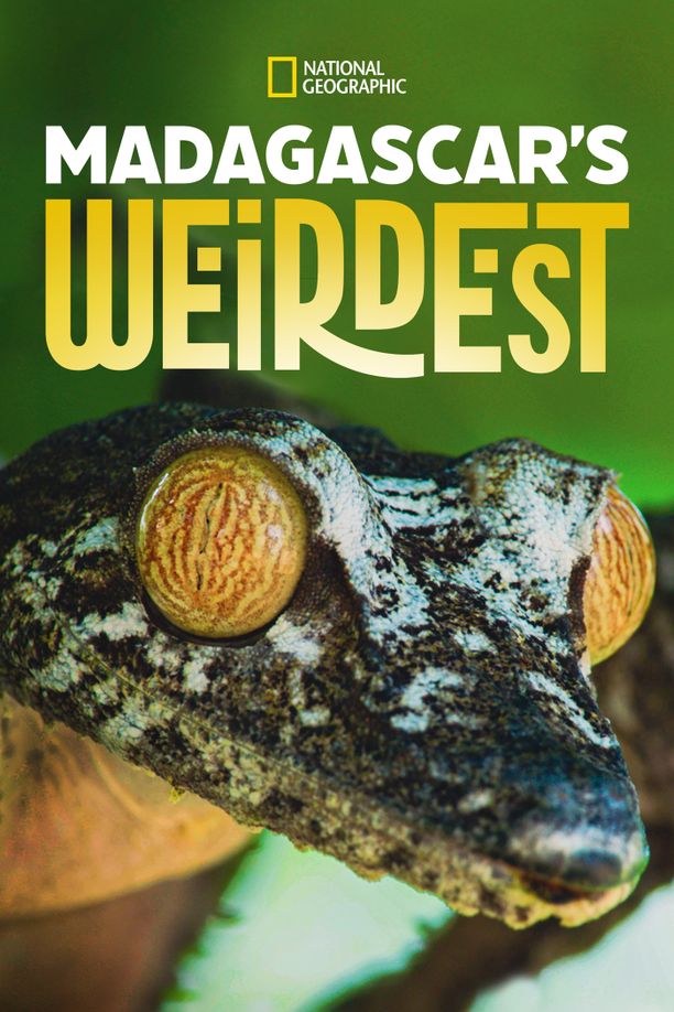Madagascar's Weirdest    第⁨一⁩季
     (2020)