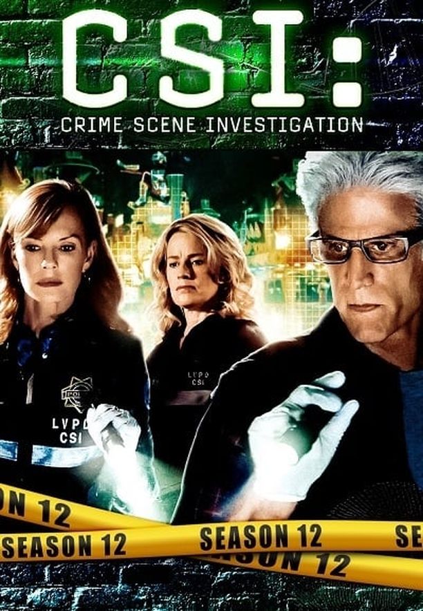 犯罪现场调查    第⁨十二⁩季
    CSI: Crime Scene Investigation (2011)