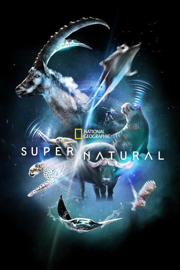 超凡动物奇观    第⁨一⁩季
    Super/Natural (2022)