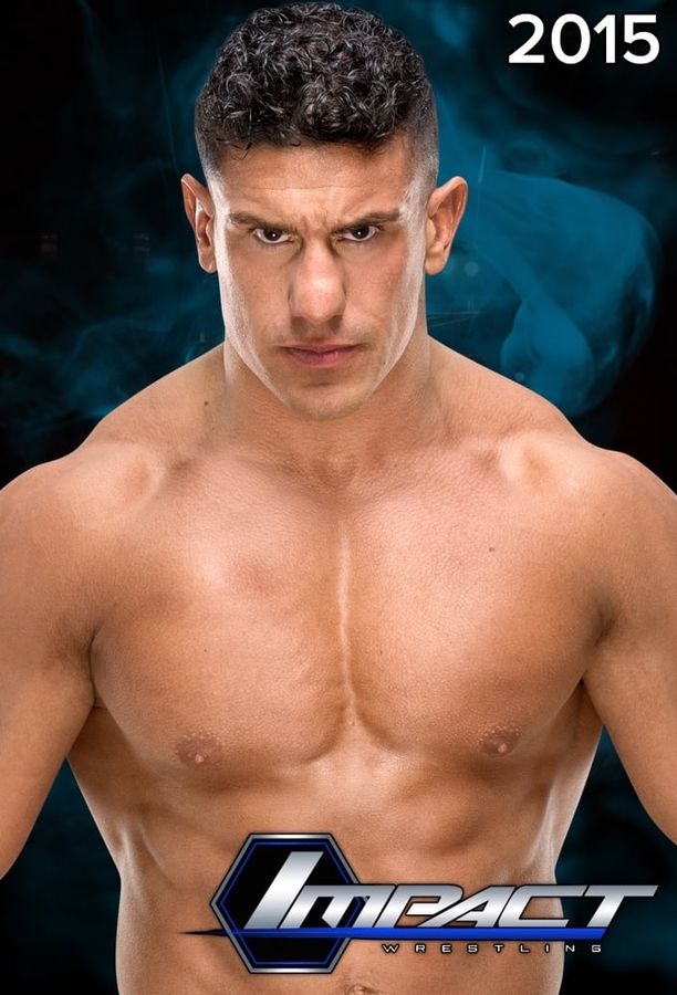 Impact Wrestling    第⁨十二⁩季
    TNA iMPACT! (2015)