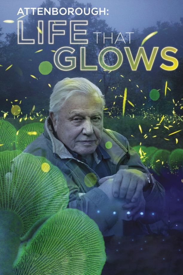 爱登堡讲述生命之光Attenborough's Life That Glows (2016)
