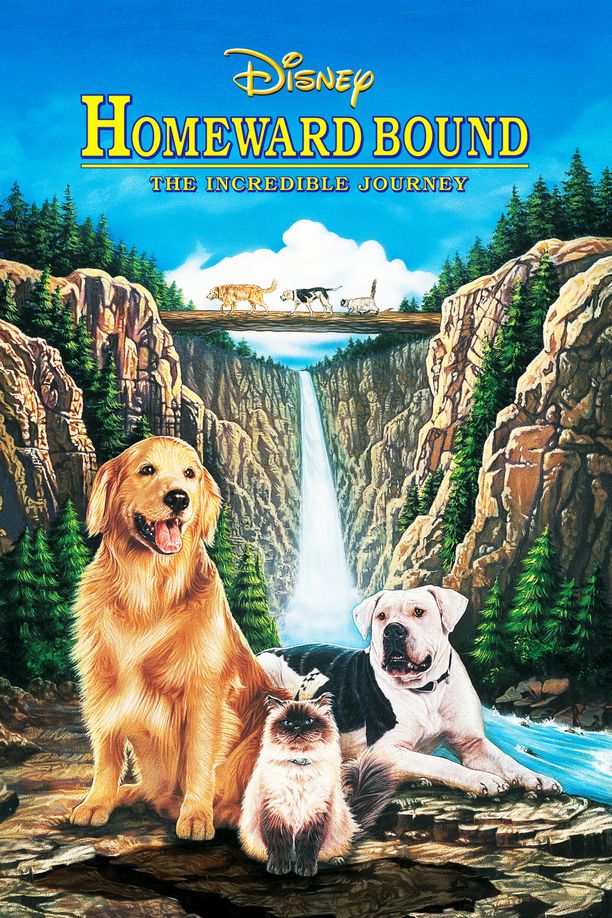 猫狗也疯狂Homeward Bound: The Incredible Journey (1993)