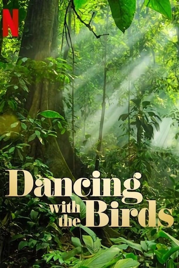 与鸟共舞Dancing with the Birds (2019)