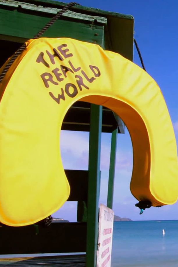 The Real World    第⁨二十七⁩季
     (2012)