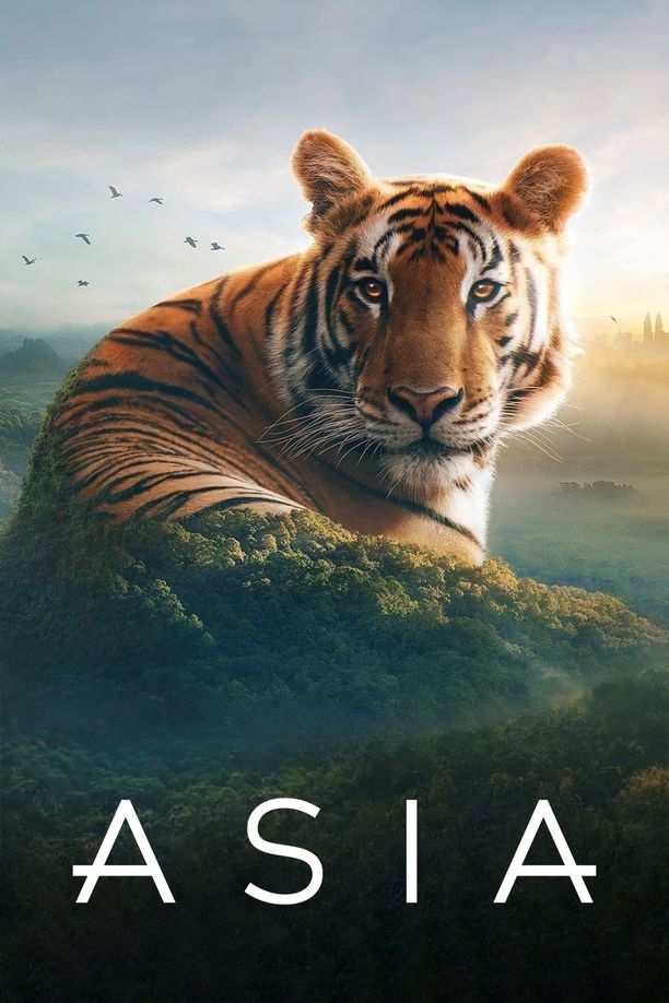 亚洲Asia (2024)