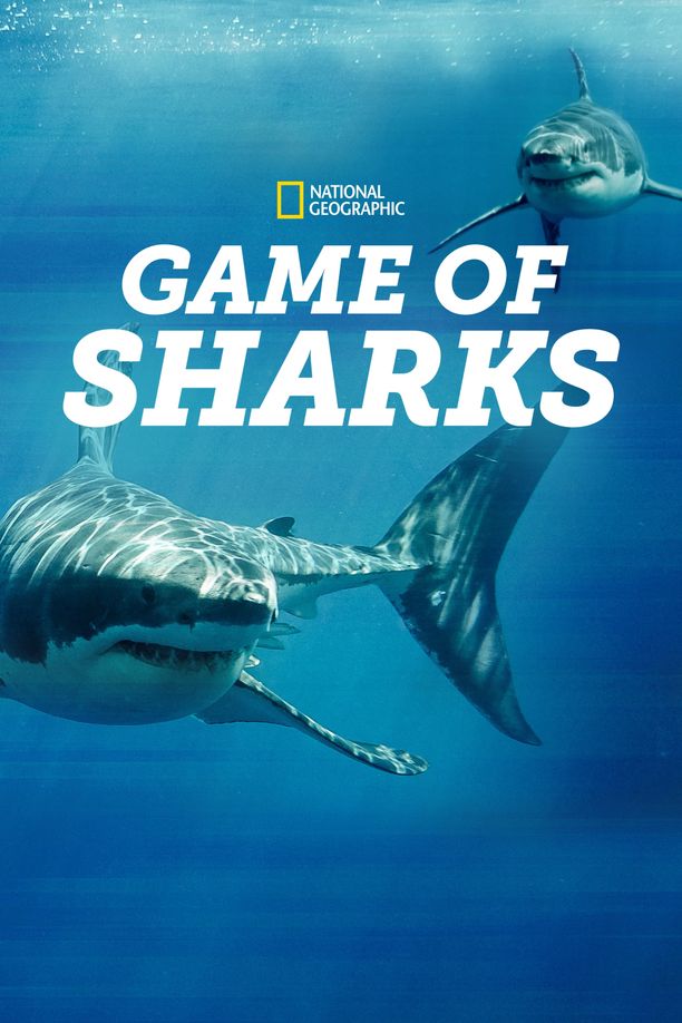鲨鱼争霸战Game of Sharks (2022)