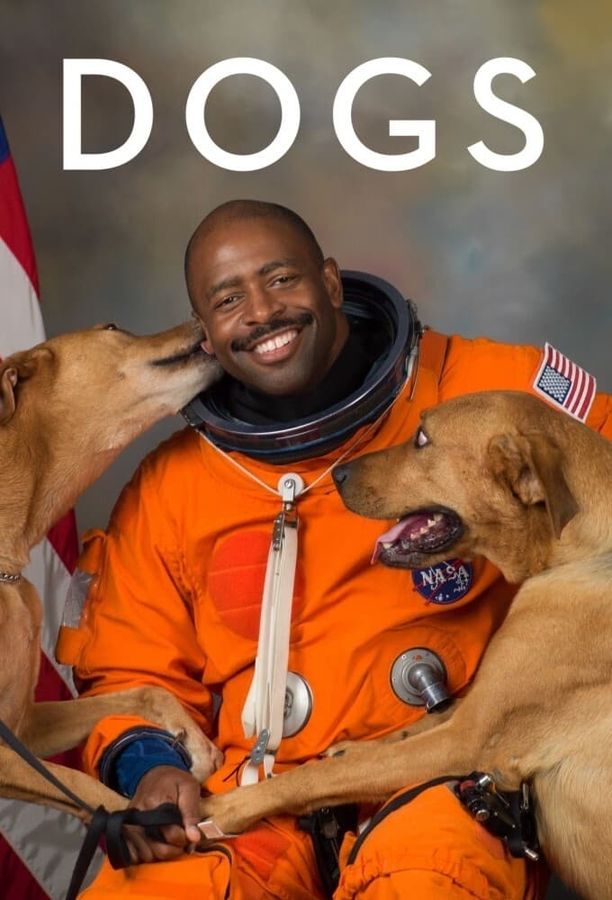 爱犬情深    第⁨二⁩季
    Dogs (2021)