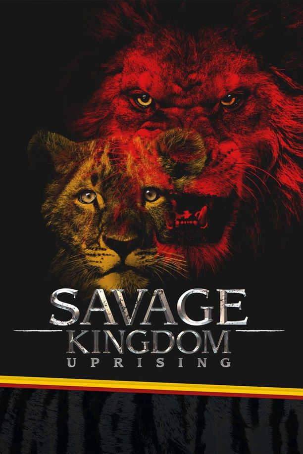 野蛮王国    第⁨二⁩季
    Savage Kingdom (2017)