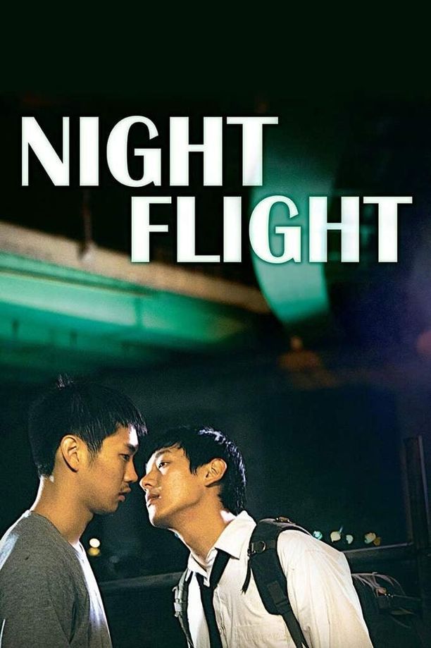 夜间飞行야간비행 (2014)