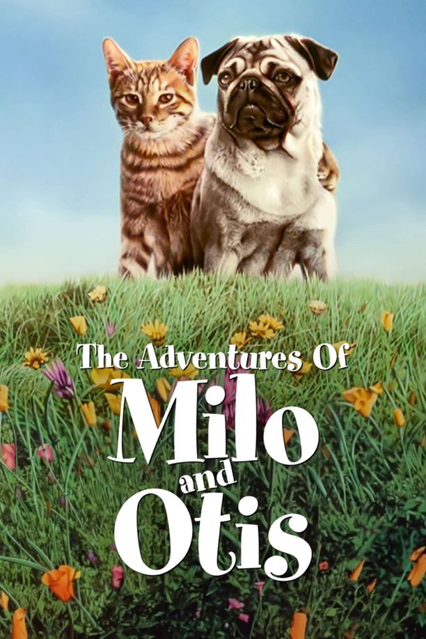 子猫物语子猫物語 (1986)