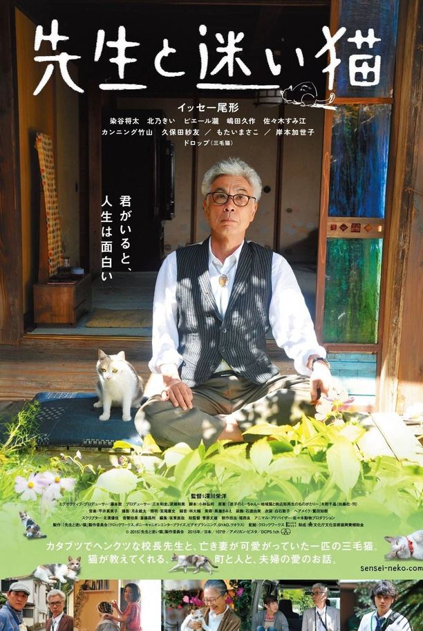 老师与流浪猫先生と迷い猫 (2015)