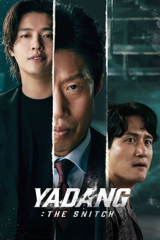 野党야당 (2025)