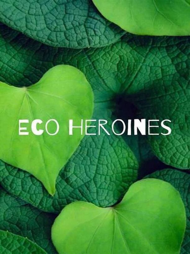 Eco-Heroines    第⁨二⁩季
     (2024)