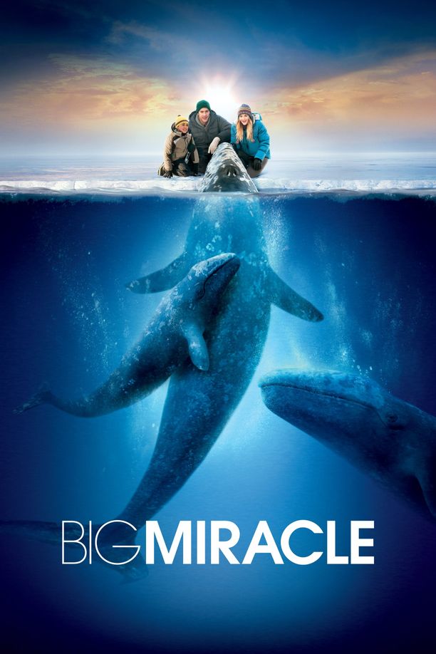 鲸奇Big Miracle (2012)