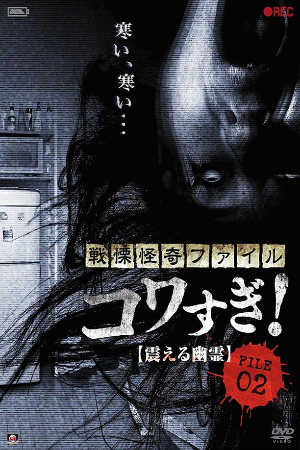 战栗怪奇：惊吓! FILE-02 震撼幽灵戦慄怪奇ファイル コワすぎ！ FILE-02 震える幽霊 (2012)