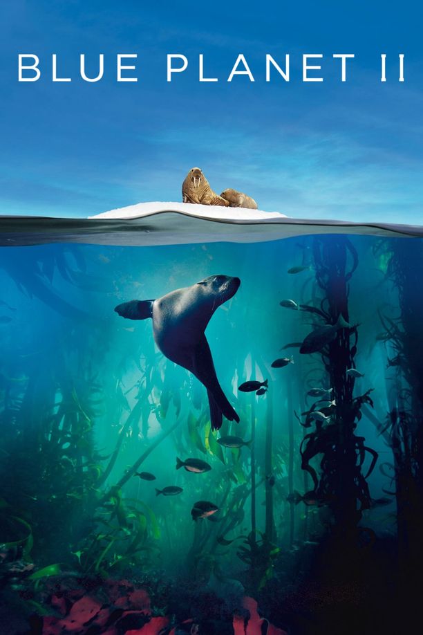 蓝色星球2Blue Planet II (2017)