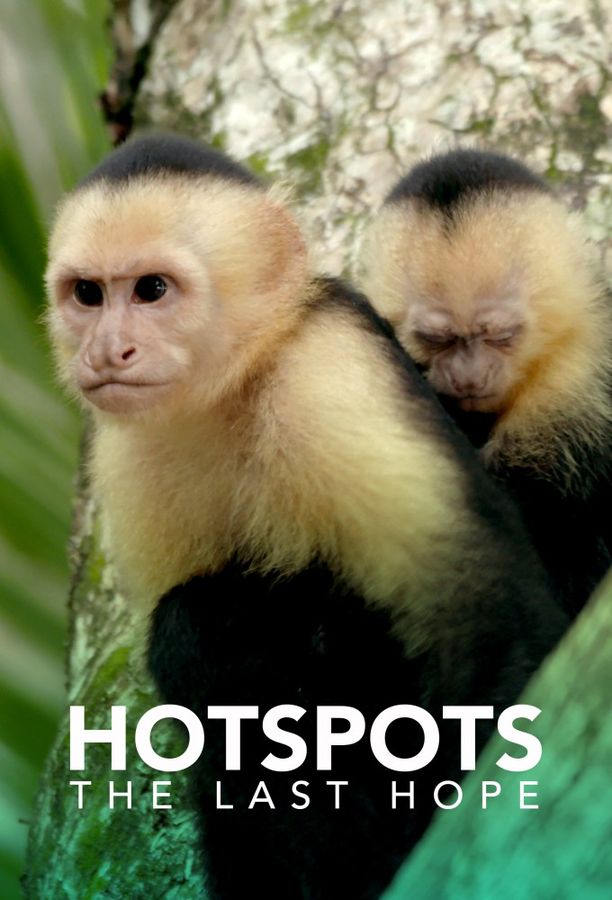 Hotspots: La última esperanza    第⁨一⁩季
     (2018)