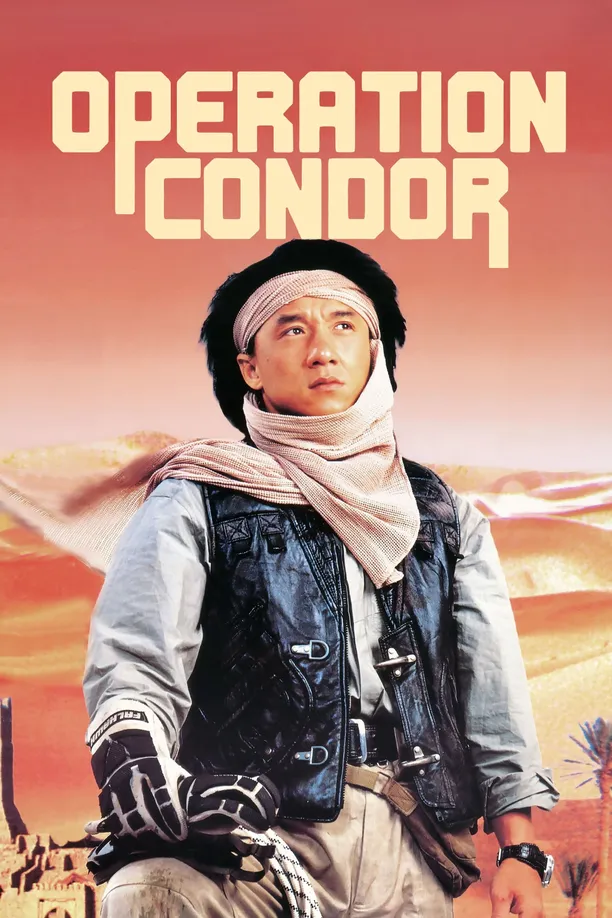 飞鹰计划飛鷹計劃 (1991)