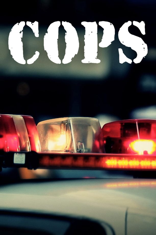 执法先锋    第⁨十二⁩季
    Cops (1999)