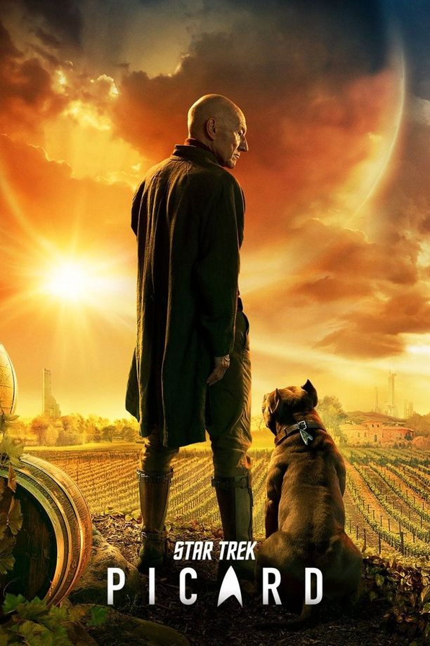 星际迷航：皮卡德    第⁨一⁩季
    Star Trek: Picard (2020)