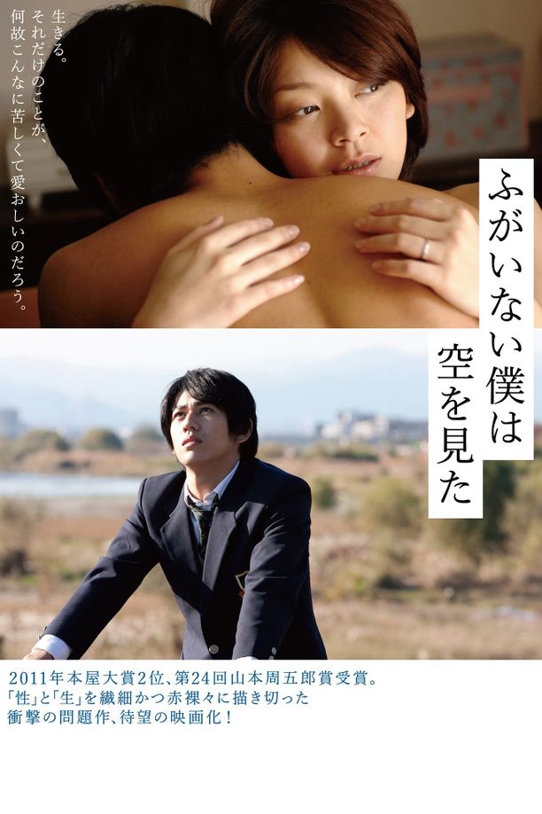 无用的我看见了天ふがいない僕は空を見た (2012)
