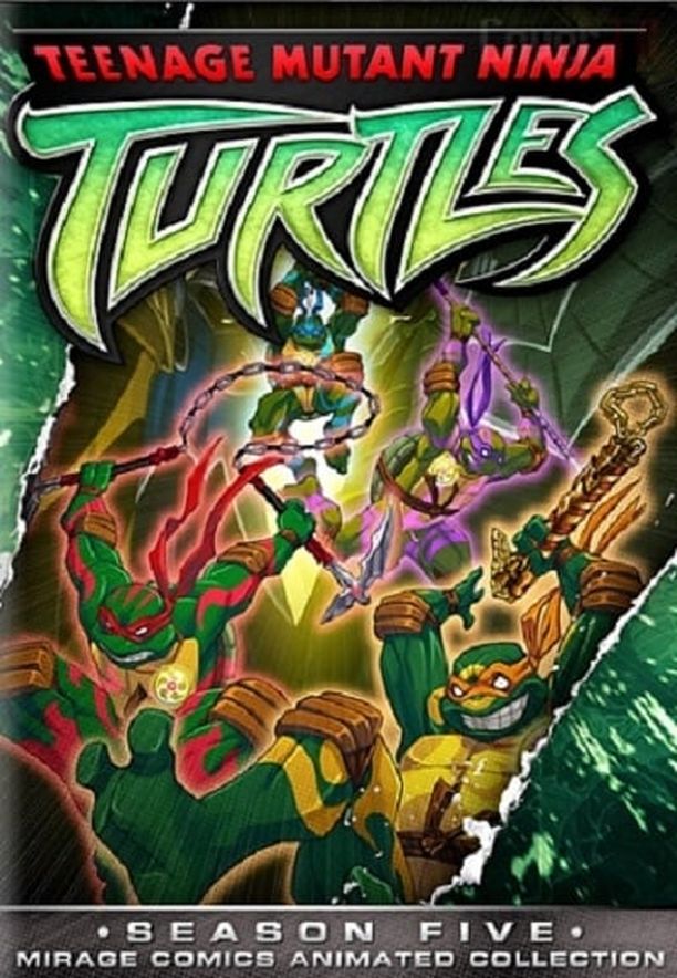 忍者神龟2003    第⁨五⁩季
    Teenage Mutant Ninja Turtles (2008)
