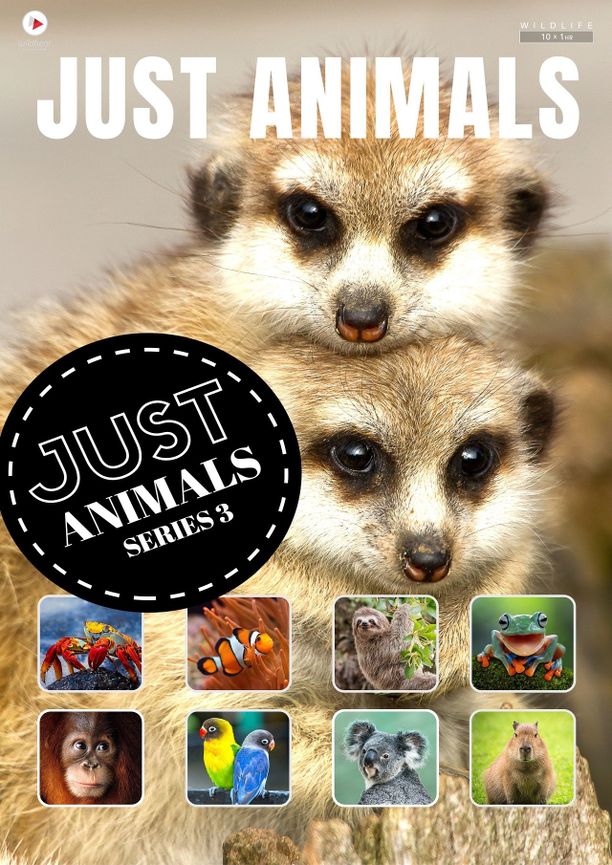 Just Animals (2018)