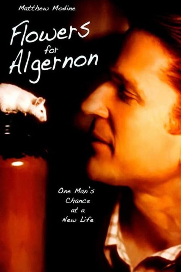 献给阿尔吉侬的花束Flowers for Algernon (2000)