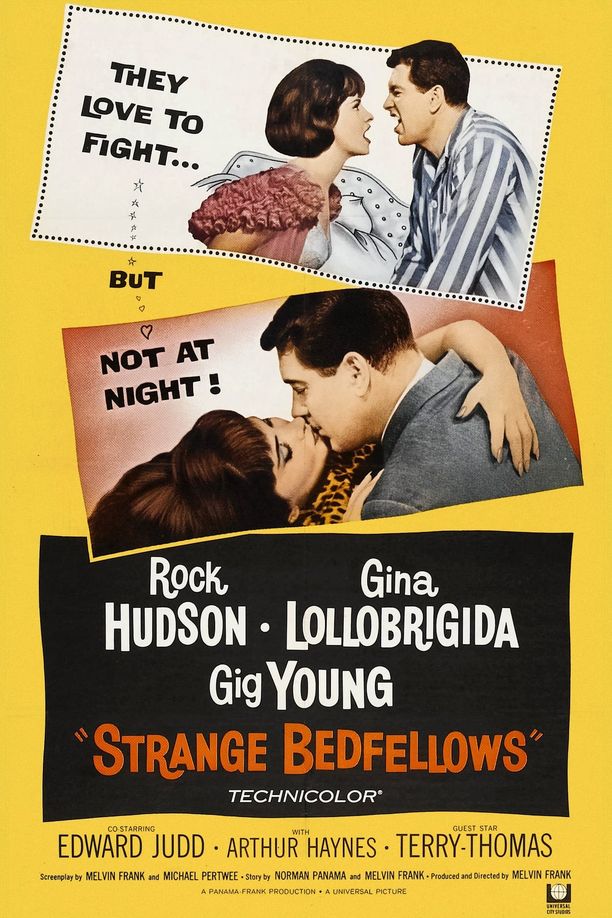 同床异梦Strange Bedfellows (1965)