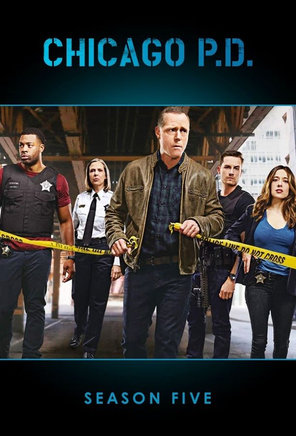 芝加哥警署    第⁨五⁩季
    Chicago P.D. (2017)