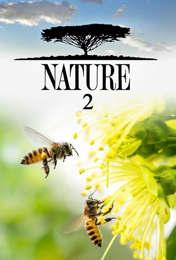 自然    第⁨二⁩季
    Nature (1983)