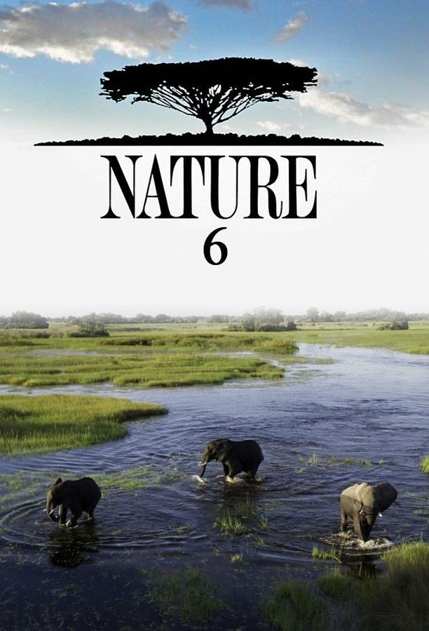 自然    第⁨六⁩季
    Nature (1987)