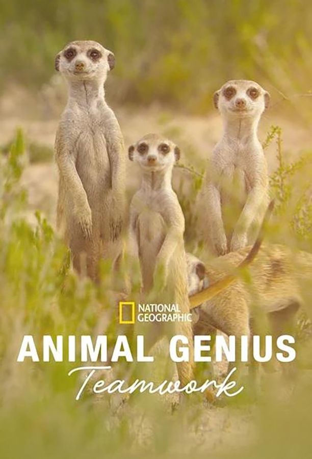 Animal Genius (2024)